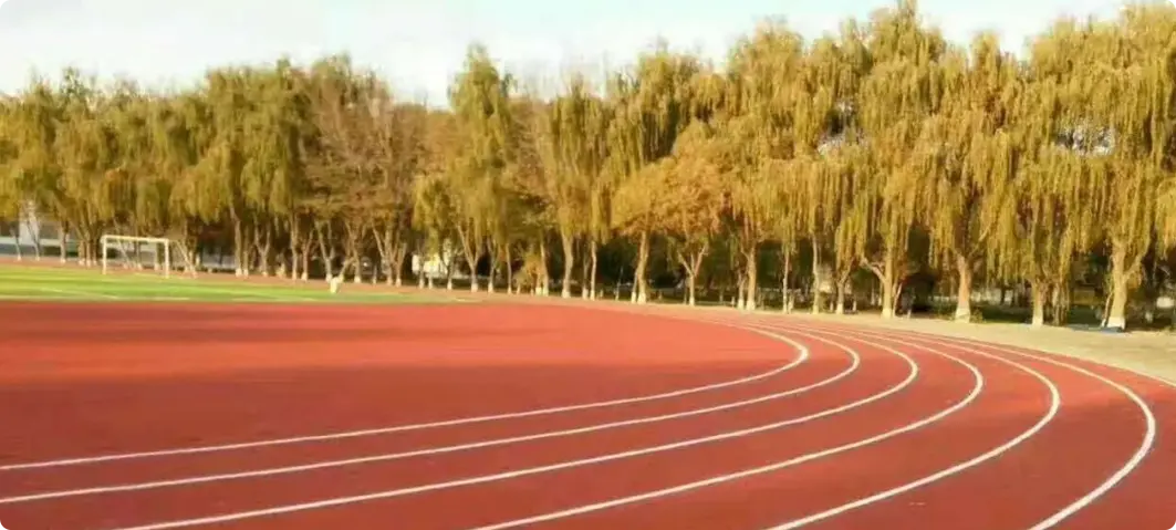 Hybrid plastic track